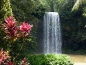 Millaa Millaa falls