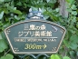 Mitaka