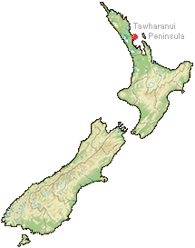 Tawharanui Peninsula