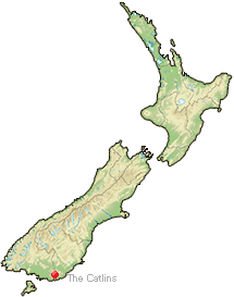 The Catlins